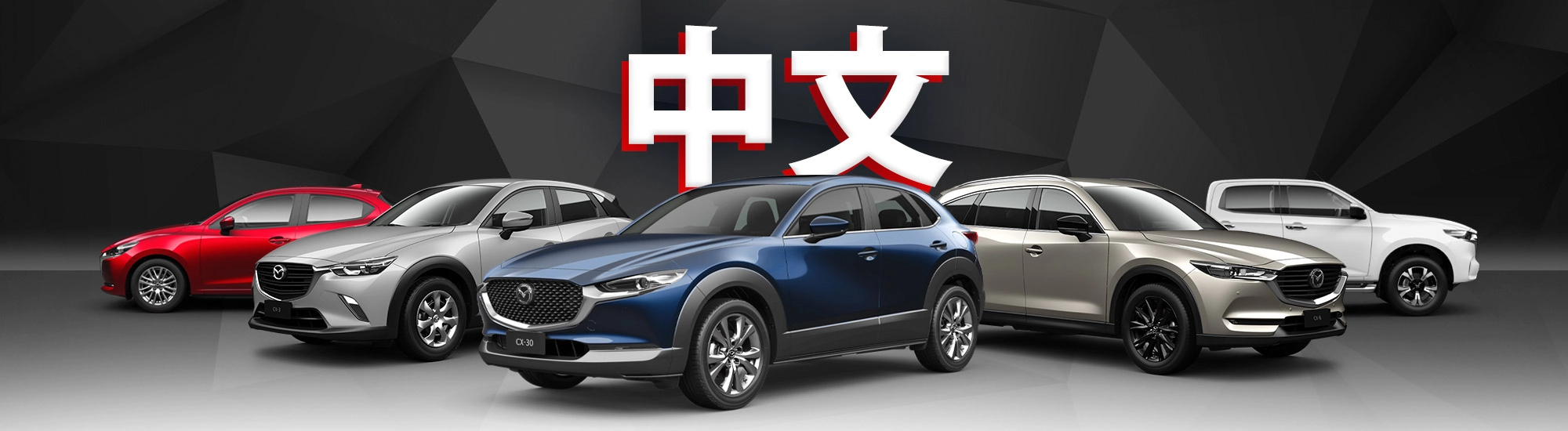 Cn Lp 2000x550
